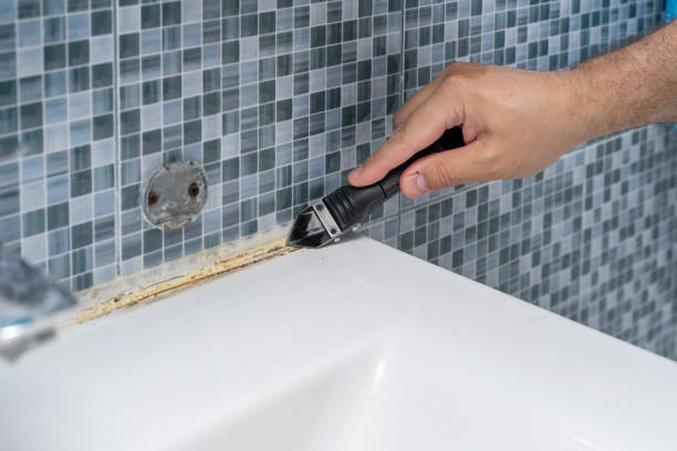 Best Mold Remediation  in Highwood, IL